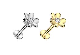 Безрезьбовой лабрет фаленопсис