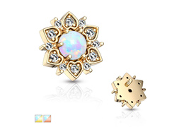 Накрутка золотая примула