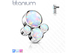 Кластер из титана с опалами Кластер из титана с опалами